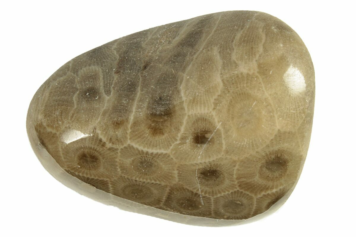 Coral stones hot sale for sale