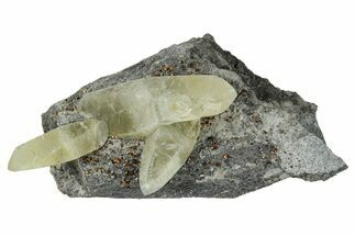 Pale Yellow Calcite Crystals on Dolomite - Missouri #260485
