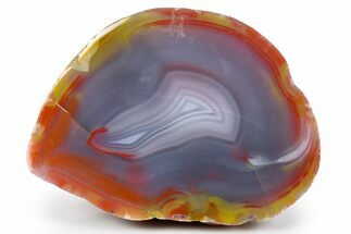Colorful, Polished Patagonia Agate - Fluorescent! #260760