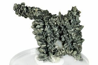 Glittering Marcasite Crystal Stalactite - Linwood Mine #260733