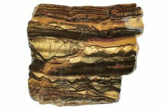 Polished Packsaddle Tiger Eye Slab - Western Australia #260862