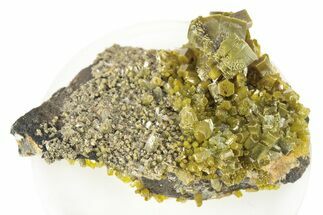 Lustrous Forest-Green Pyromorphite Crystal Cluster - China #260971