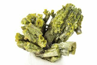 Lustrous Forest-Green Pyromorphite Crystal Cluster - China #260975