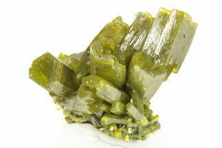 Lustrous Forest-Green Pyromorphite Crystal Cluster - China #260977