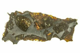 Polished Admire Pallasite Meteorite ( g) Slice - Kansas #261226