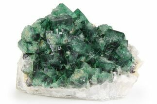 Fluorescent Green Fluorite Cluster - Diana Maria Mine, England #261749