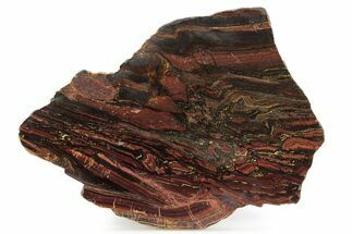 Polished Tiger Iron Stromatolite Slab - Billion Years #261992