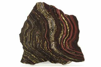 Polished Tiger Iron Stromatolite Slab - Billion Years #262004