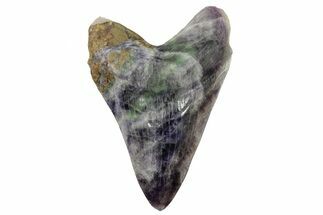 Realistic, Carved Fluorite Megalodon Tooth - Replica #262099