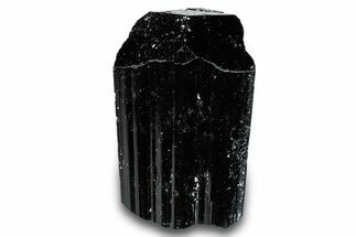 Terminated Black Tourmaline (Schorl) Crystal - Madagascar #261734