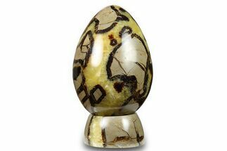Polished Septarian Egg with Stand - Madagascar #260950
