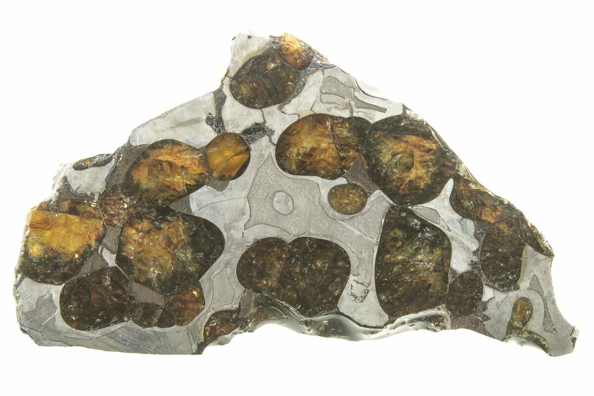 Brenham pallasite meteorite sale