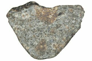Cut Chondrite Meteorite Section ( g) - NWA #263196