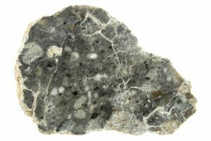 Lunar Meteorites - NWA 15373 For Sale - FossilEra.com