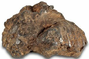 Gebel Kamil Meteorites For Sale - FossilEra.com