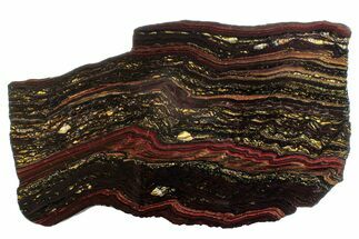 Polished Tiger Iron Stromatolite Slab - Billion Years #262011