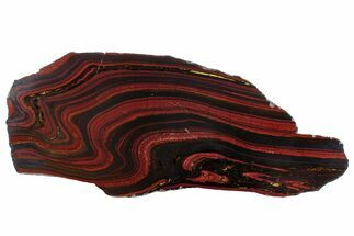 Polished Tiger Iron Stromatolite Slab - Billion Years #262016