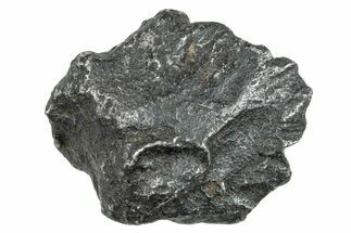 Gebel Kamil Iron Meteorite ( g) - Egypt #263414