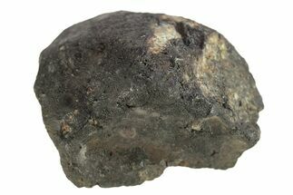 Chelyabinsk Meteorite ( g) - Witnessed Fall #263525