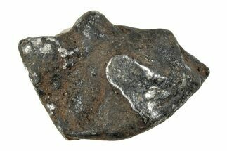 Gebel Kamil Iron Meteorite ( g) - Egypt #263599