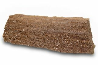Permineralized Wood Covered In Sparkling Quartz -, Germany #263949