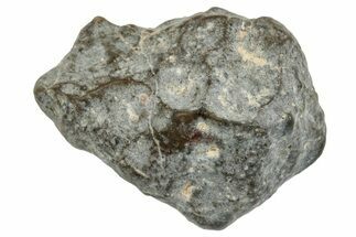 Lunar Meteorite ( g) - NWA #264137