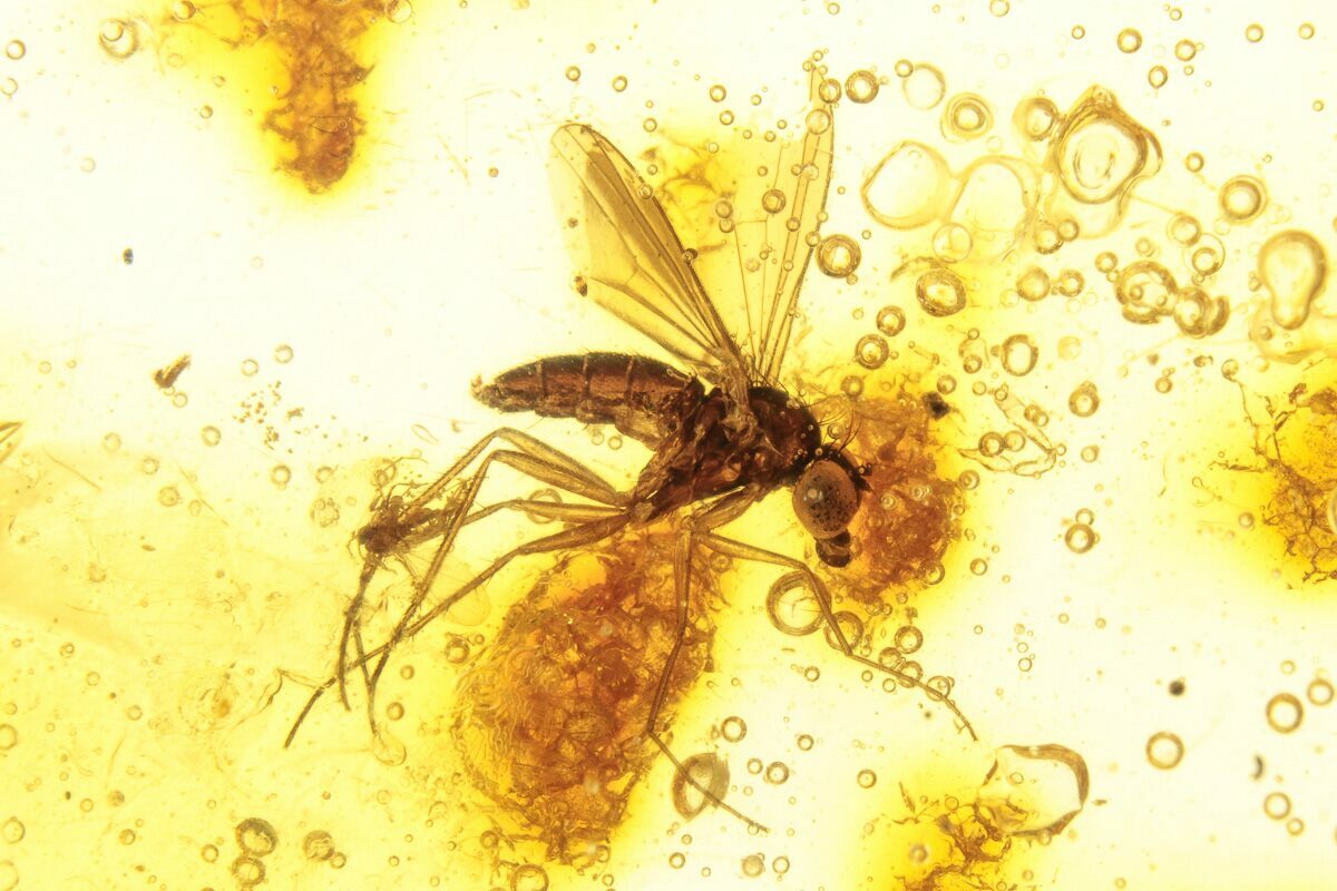1.9