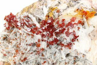 Ruby Red Vanadinite Crystals on Bladed Barite - Morocco #255534