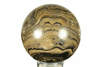 Polished Stromatolite (Greysonia) Sphere - Bolivia #264437