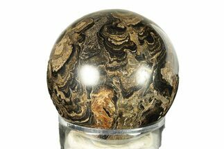 Polished Stromatolite (Greysonia) Sphere - Bolivia #264439