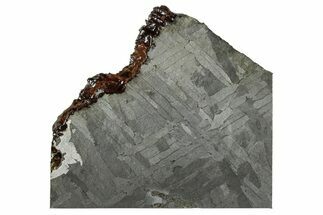 Etched Seymchan Meteorite Slice ( g) - Russia #264995