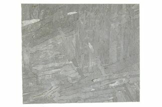 Etched Seymchan Meteorite Slice ( g) - Russia #265011