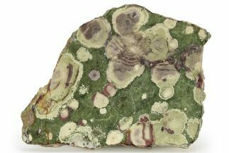 Polished Lily Pad Jasper Slab - Oregon #265626