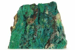 Free Standing Colorful Parrot Wing Chrysocolla Section - Mexico #265635