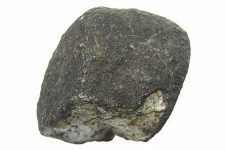 Oued Sfayat Meteorite Fragment ( g) - Witnessed Fall #265714