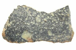 Diogenite Meteorite ( g) Slice - From Vesta Micro-Planet! #265949