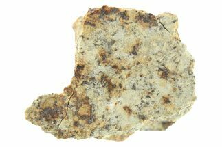 Chondrite Meteorite ( g) Section - Argentina #265966