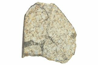 Viñales Chondrite Meteorite ( g) Section - Witnessed Fall! #266002