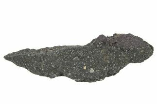 Aguas Zarcas Carbonaceous Chondrite Meteorite ( g) #266094