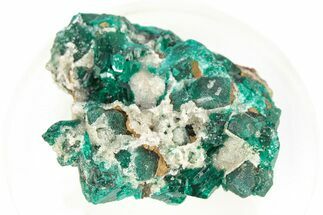 Lustrous Dioptase Crystals w/ Quartz - Republic of the Congo #266260