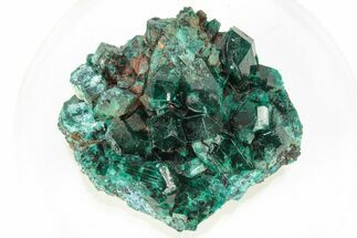 Lustrous Dioptase Crystals on Plancheite - Republic of the Congo #266272