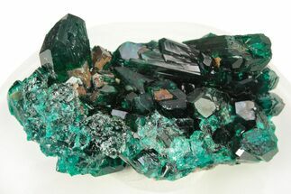 Lustrous Dioptase Crystal Cluster - Republic of the Congo #266285