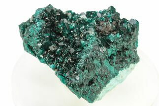Lustrous Dioptase Crystals on Plancheite - Republic of the Congo #266290