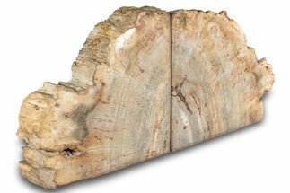 Petrified Wood (Tropical Hardwood) Bookends - Indonesia #266198