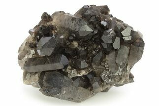 Dark Smoky Quartz Crystal Cluster - Brazil #266146