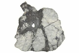 Eucrite Meteorite Slice ( g) - From Vesta Minor-Planet #266497