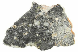 Polished Lunar Meteorite Slice ( g) - Bechar #266499
