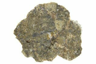 Laayoune 002 Meteorites For Sale