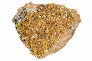 Golden Translucent Mimetite Crystal Cluster - Thailand #266330