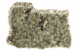 Polished Martian Meteorite Slice ( g) - NWA #266624